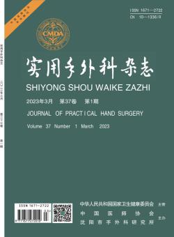 实用手外科期刊